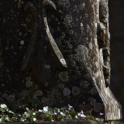 Nature en vadrouille